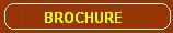 Brochure PDF