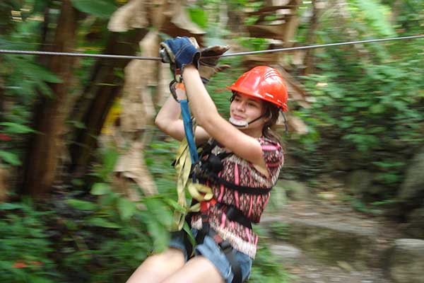 Canopy